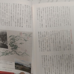 もしかしてこんな愛知だった３.jpg